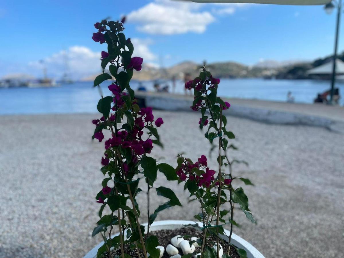 Apartmán Ονειρόπετρα Λέρος~Oneiropetra Leros Panteli Exteriér fotografie