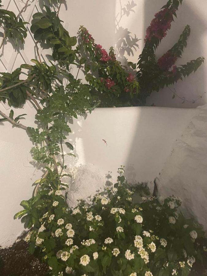 Apartmán Ονειρόπετρα Λέρος~Oneiropetra Leros Panteli Exteriér fotografie
